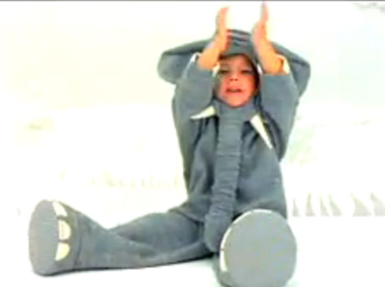 Mamífero da Parmalat