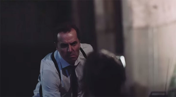 7stripe-caes-de-aluguel