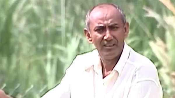 Pegadinhas de Silvio Santos transformadas em cases para Cannes