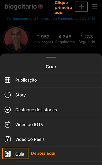 Guias no Instagram Blogcitario