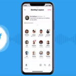 Twitter Spaces tela
